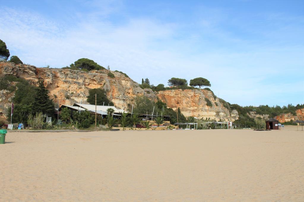 Apartamento Turisticos Grande *
